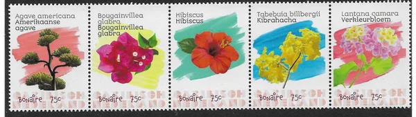 Caribbean Netherlands Bonaire 2020 Flowers MNH