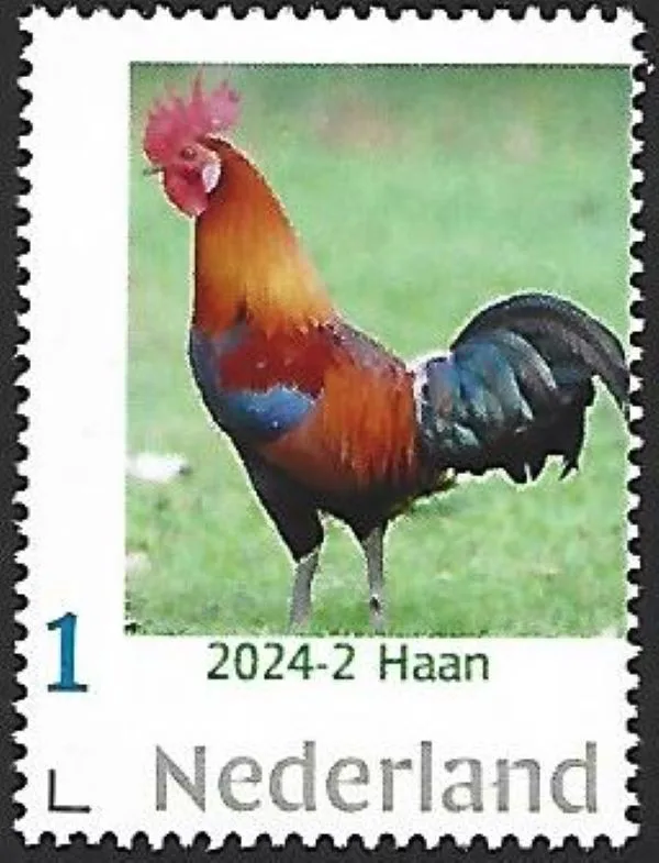 Pays-Bas 2024-2 Poules Poulet: Coq Rooster neuf/mnh