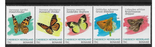 Caribbean Netherlands Bonaire 2020 Butterflies postage