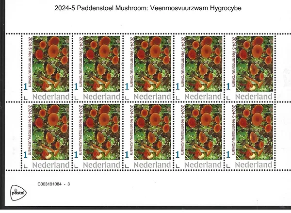 Netherlands 2024-5 Mushrooms Bog Orchid Fungus Hygrocybe sheet MNH