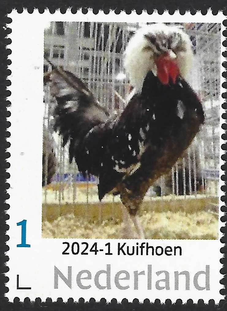 Pays-Bas 2024-1 Poule Hollandaise à Huppe postfris/mnh