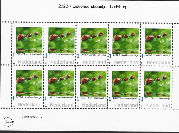 Ñederland 2022-7 Natuur Lieveheersbeestje ladybug vel-sheetlet postfris/mnh