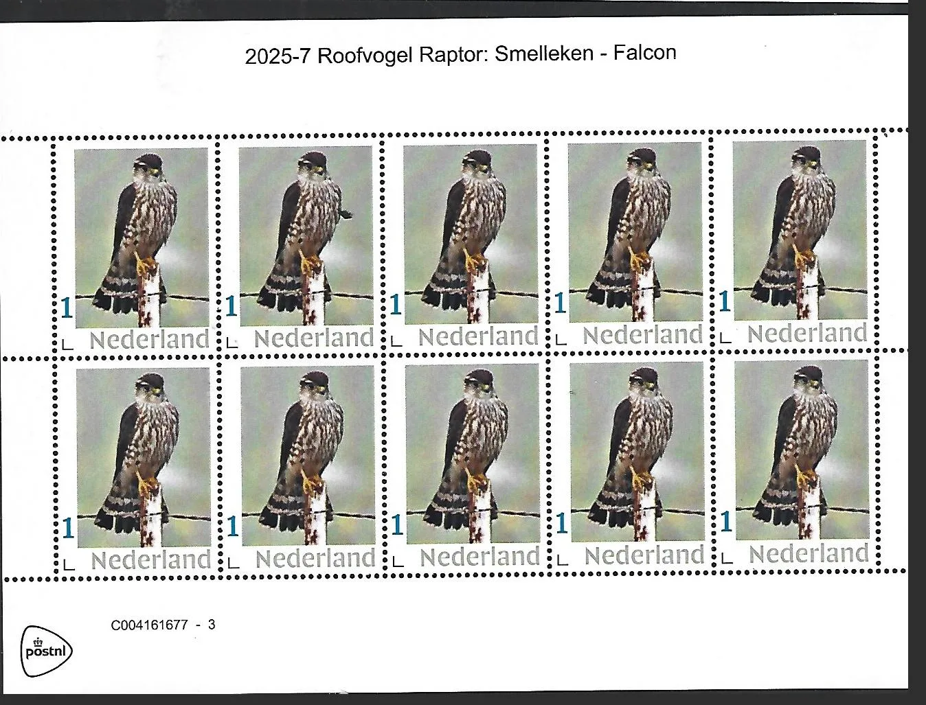 Netherlands 2025-7 Raptor: Eurasian Merlin Falcon sheet MNH
