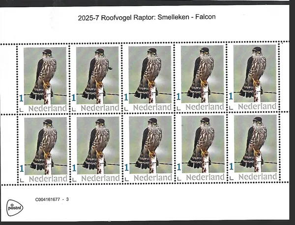 Netherlands 2025-7 Raptor: Eurasian Merlin Falcon sheet MNH
