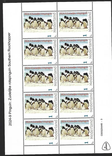 Nederland 2024-9 Pinguin: Zuidelijke rotspinguin Southern Rockhopper sheetlet postfris/mnh