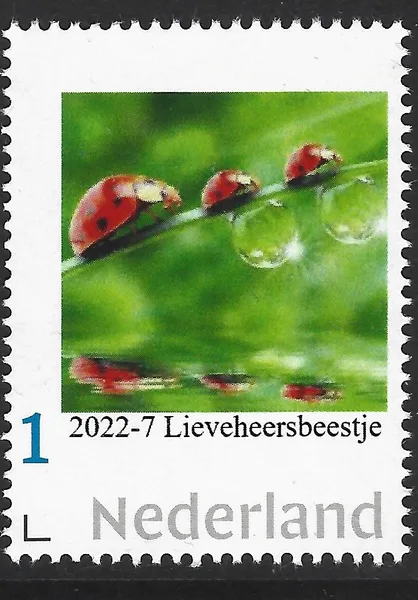 Netherlands 2022-7 Nature Ladybug MNH