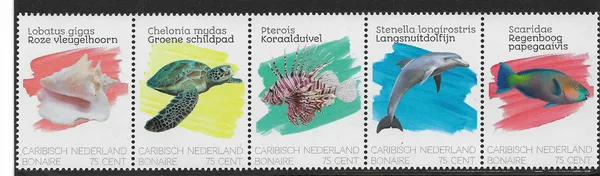 Caribbean Netherlands Bonaire 2020 Sealife MNH