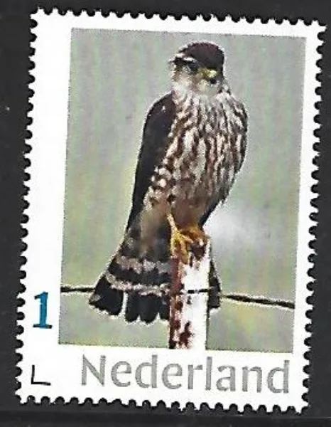 Netherlands 2025-7 Roofvogel Raptor: Smelleken Valk Falcon MNH