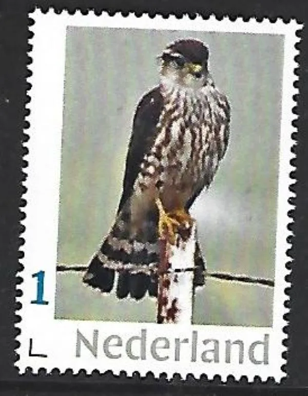 Netherlands 2025-7 Roofvogel Raptor: Smelleken Valk Falcon MNH