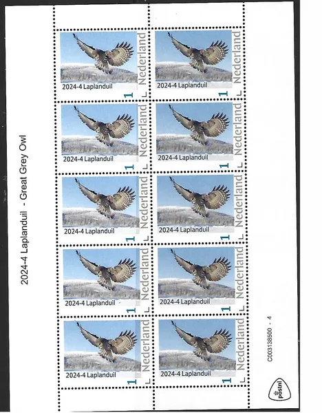 Nederland 2024-4 Uil - Owl: Laplanduil Great Grey Owl Sheetlet postfris-mnh