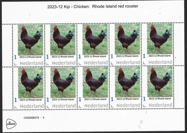 Netherlands 2023-12 Chicken: Rhode Island Red Rooster sheet MNH