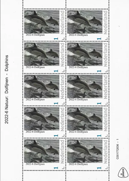 Nederland 2022-6 Natuur - Nature: Dolfijn Dolphin vel-sheetlet postfris/mnh