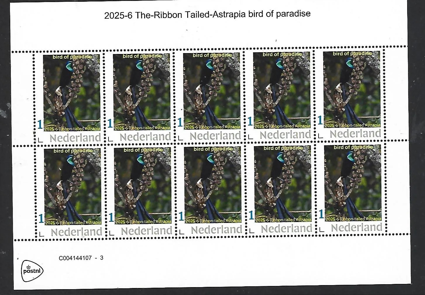 Nederland 2025-6 Vogel Bird: Ribbon-tailed Astrapia sheet postfris/mnh5