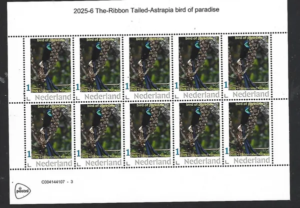 Netherlands 2025-6 Bird: Ribbon-tailed Astrapia sheet MNH