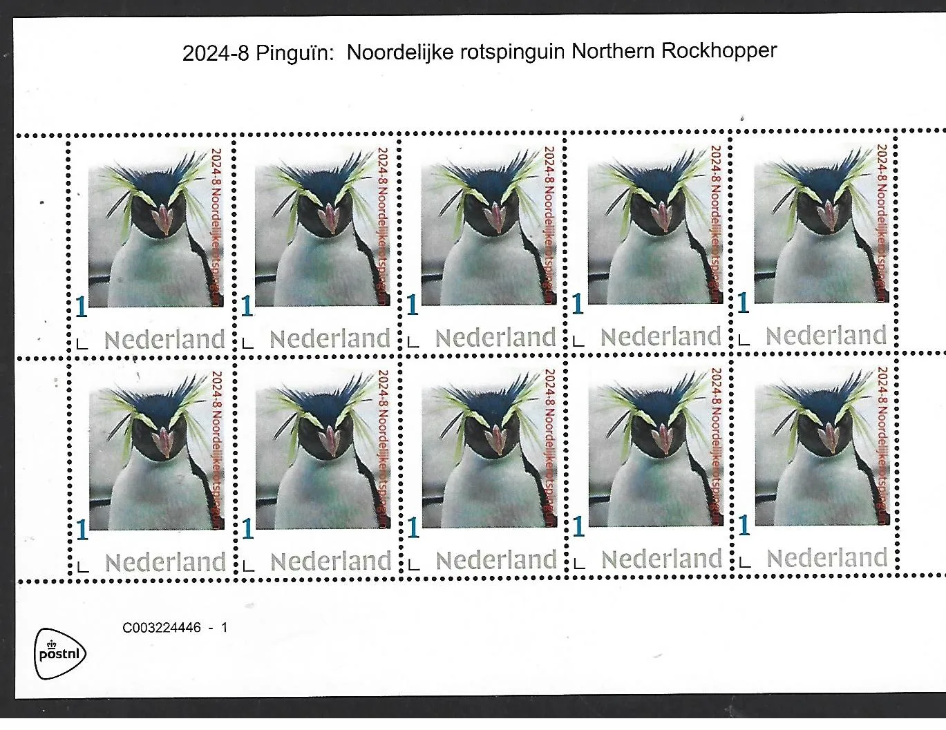Nederland 2024-8 Pinguin penguin: Northern Rockhopper sheetlet postfris/mnh