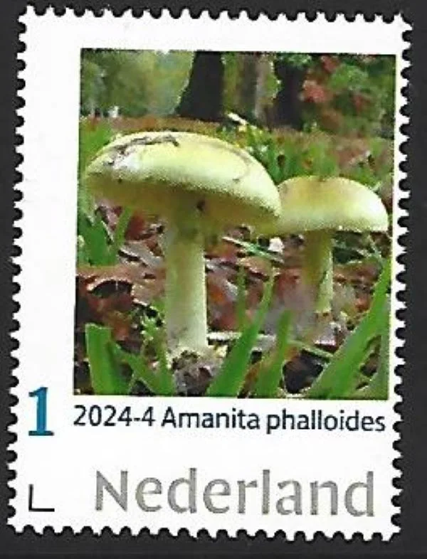 Pays-Bas 2024-4 Champignons Amanita Palloides Death Cap neuf/mnh