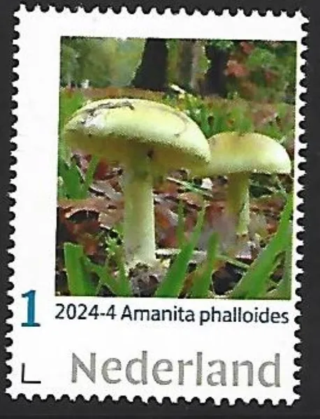 Nederland 2024-4 Paddenstoelen Amanita Palloides Death Cap postfris/mnh
