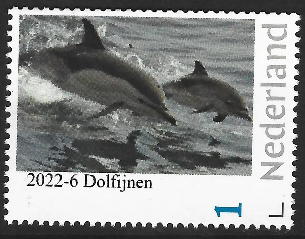 Nederland 2022-6 Natuur - Nature: Dolfijn Dolphin postfris/mnh