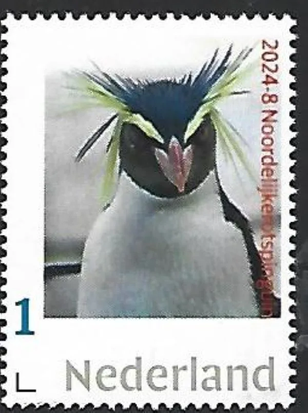Nederland 2024-8 Pinguin penguin: Northern Rockhopper postfris/mnh