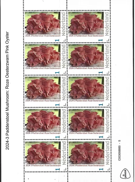 Nederland 2024-3 Paddenstoel Mushroom: Roze oesterzwam Pink Oyster sheetlet postfris/mnh