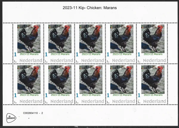 Netherlands 2023-11 Chicken: Marans vel-sheetlet MNH
