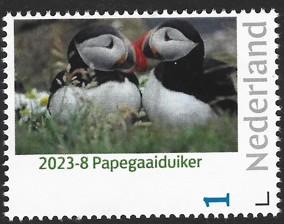 Pays-Bas 2023-8 Macareux Puffin neuf/MNH