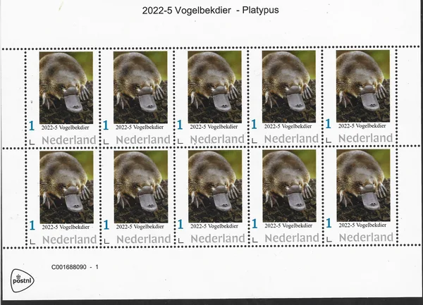 Netherlands 2022-5 nature Platypus sheet MNH