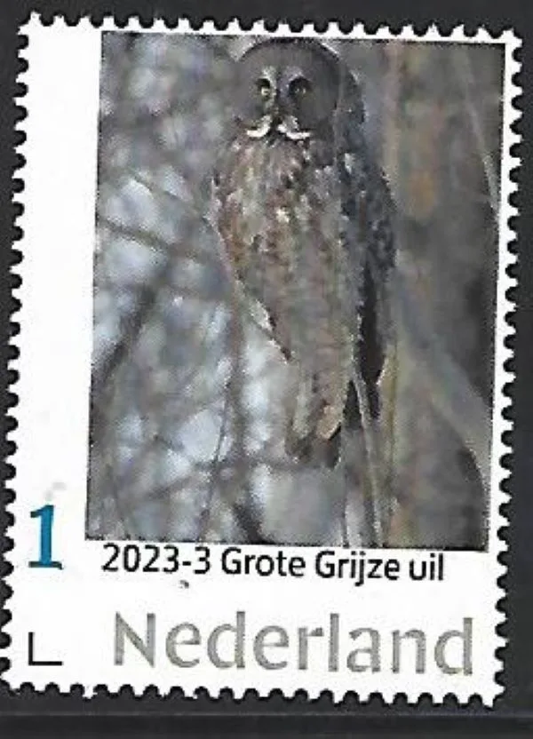 Niederlande 2024-3 Eule Großeule postfrisch/mnh