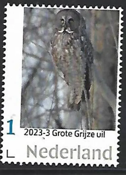 Nederland 2024-3 Uil Owl: Grote grijze uil Great Grey Owl postfris//mnh