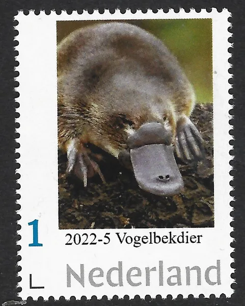 Netherlands 2022-5 nature Platypus MNH