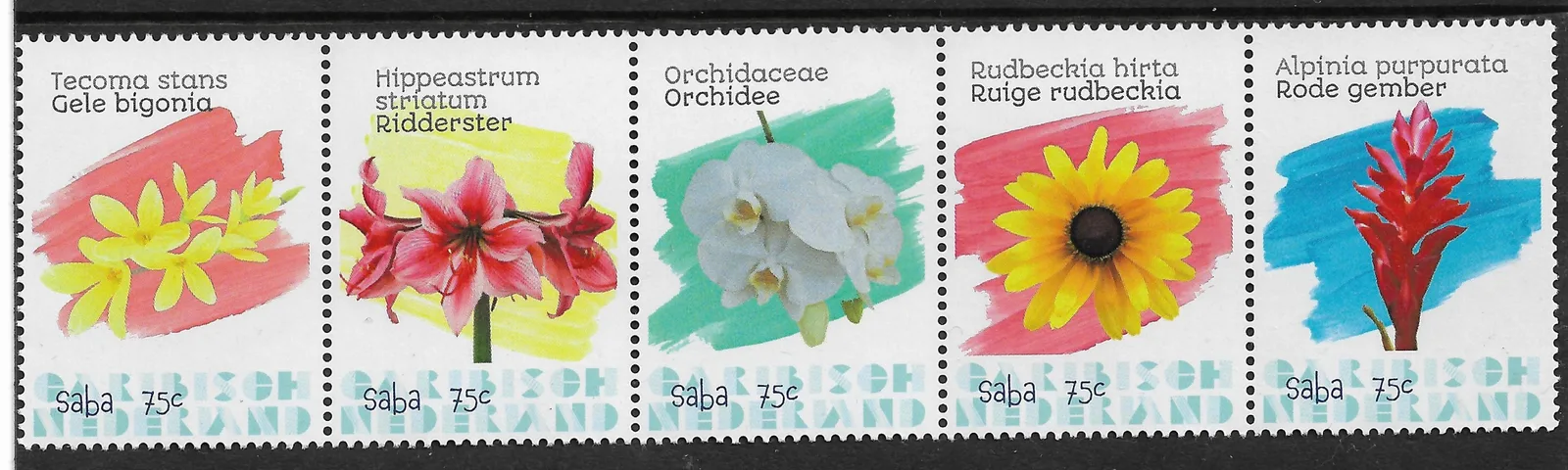 Caribisch Nederland Saba 2020 Bloemen - flowers postfris