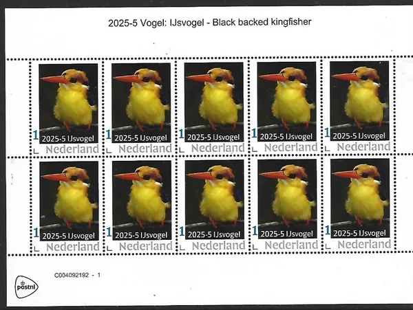 Netherlands 2025-5 Bird: Black-backed Kingfisher sheet MNH