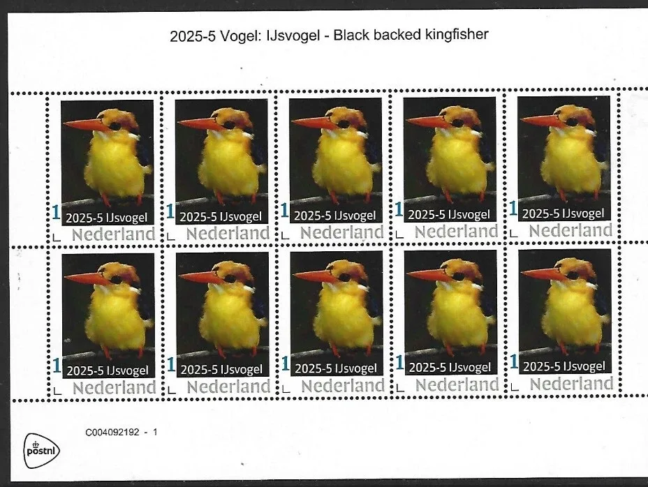 Nederland 2025-5 Vogel Bird: IJsvogel Black backed Kingfisher sheet postfris/mnh