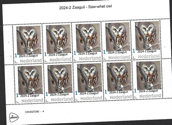 Netherlands 2024-2 Owls: Saw-whet owl sheetlet MNH
