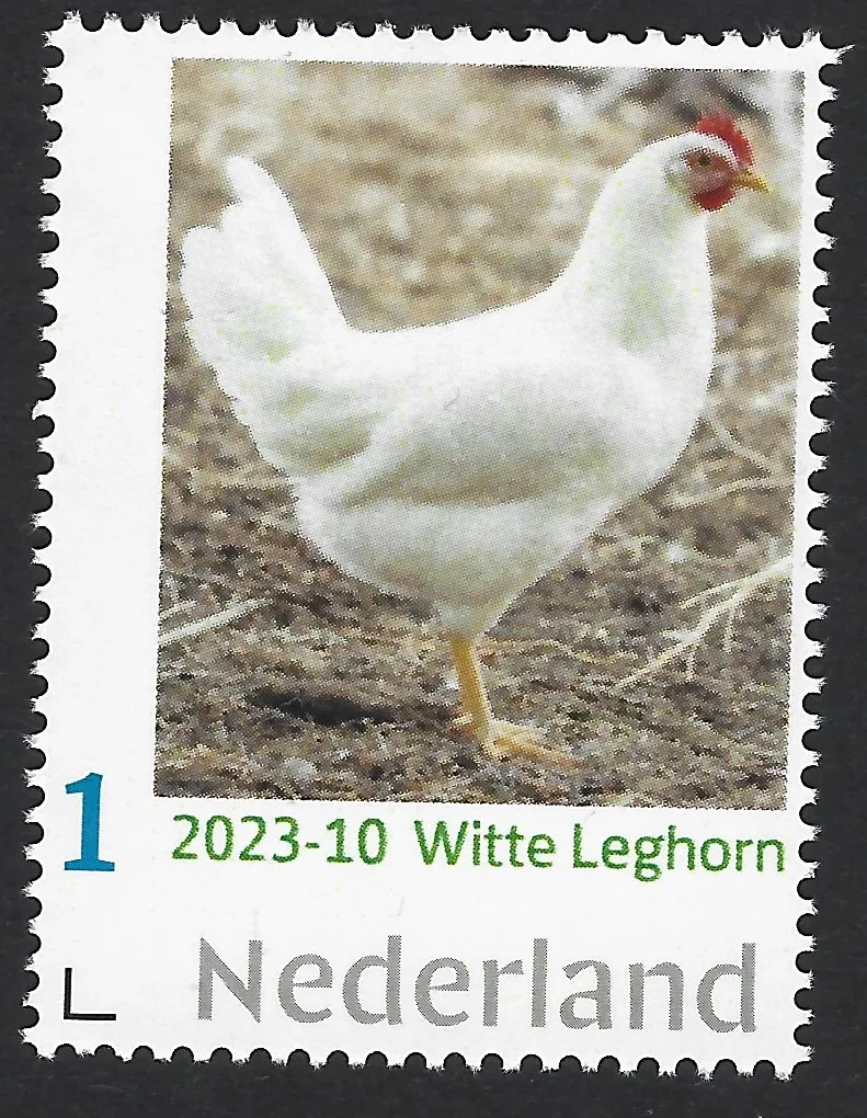 Niederlande 2023-10 Huhn - Chicken: Weiße Leghorn postfrisch/mnh