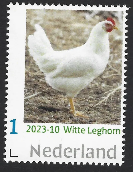 Netherlands 2023-10 Chicken: White Leghorn MNH