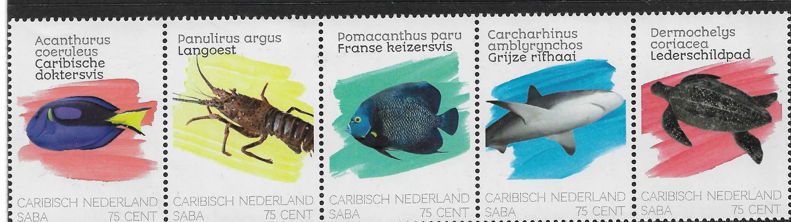 Caribisch Nederland Saba 2020 Zeeleven - Sealife postfris