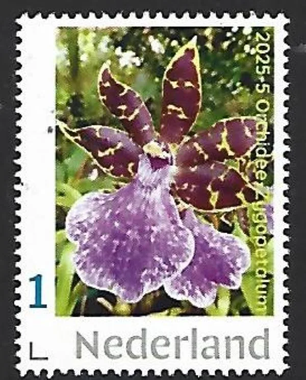 Nederland 2025-5 Orchidee Orchid : Gygopetalum postfris/mnh