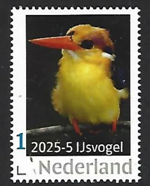 Nederland 2025-5 Vogel Bird: IJsvogel Black backed Kingfisher postfris/mnh