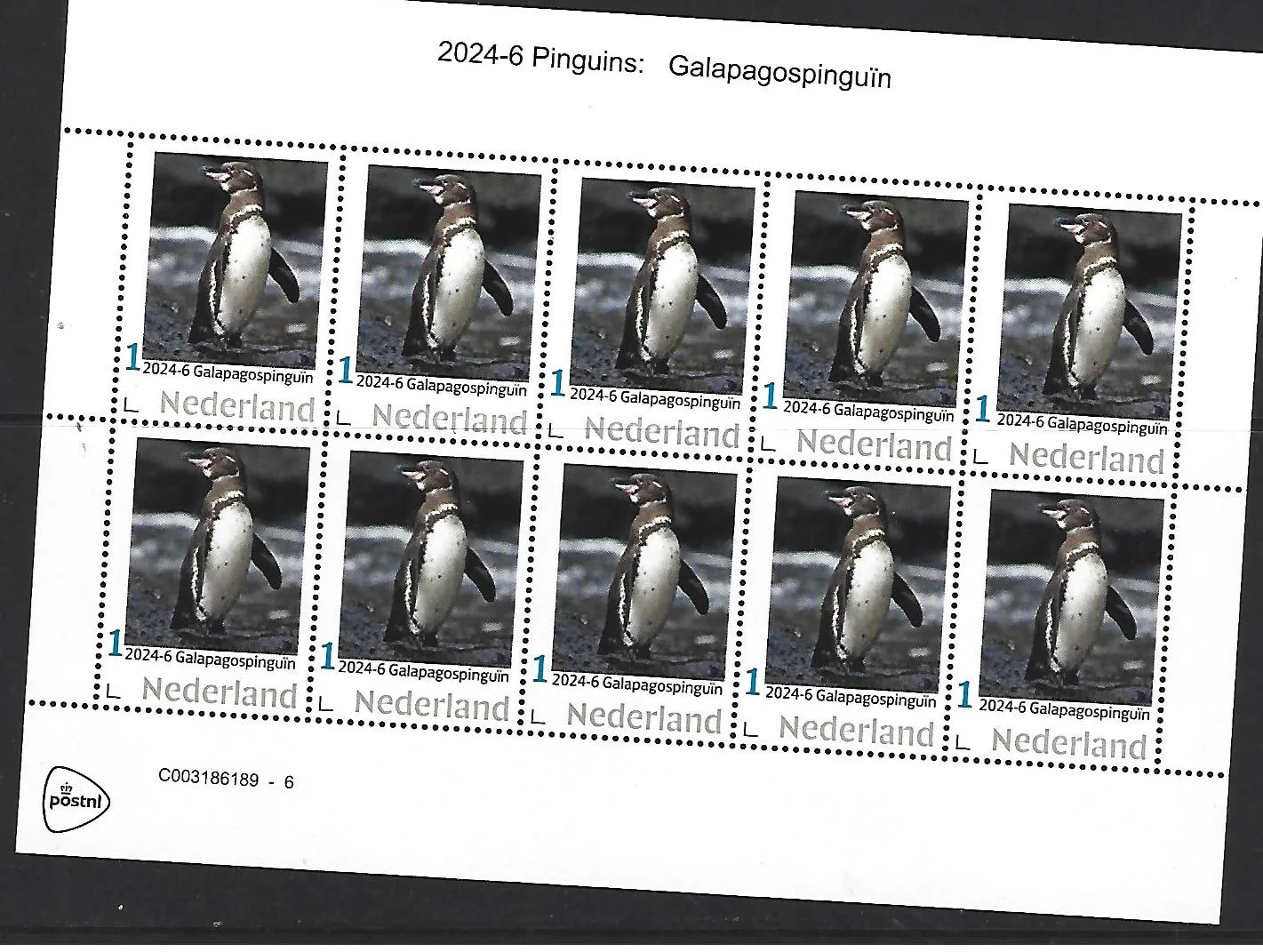 Niederlande 2024-6 Pinguin: Galapagospinguin Markenheftchen postfrisch/mnh