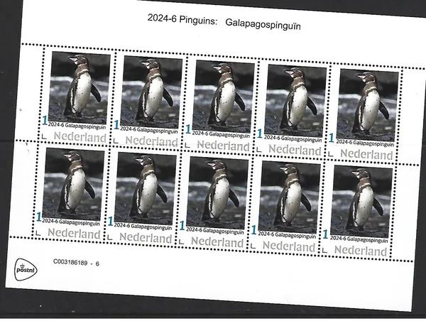 Netherlands 2024-6 Penguin: Galapagos Penguin sheetlet MNH