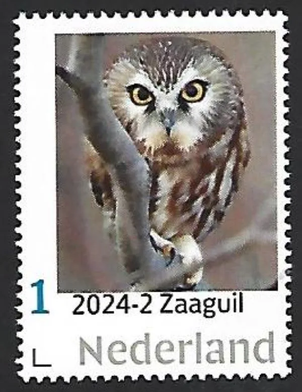 Pays-Bas 2024-2 Chevêches Owls: Chevêchette du Bachman postfris/mnh