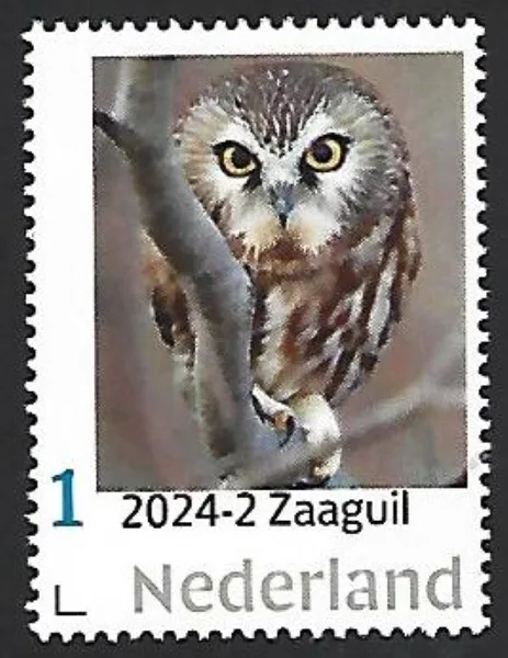 Netherlands 2024-2 Owls: Saw-whet Owl MNH