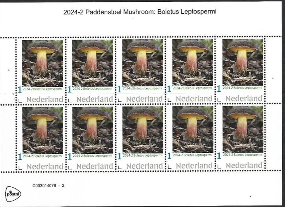Niederlande 2024-2 Pilz mushroom: Boletus Leptospermi Blockeinheit postfris/mnh