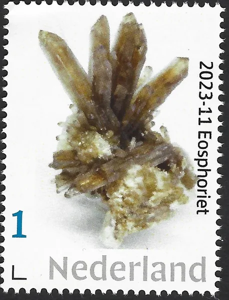 Netherlands 2023-11 Minerals: Eosphorite, MNH