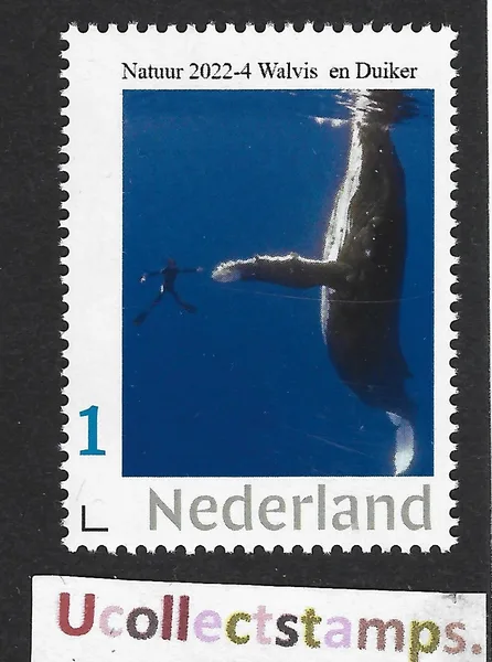 Nederland 2022-4 natuur Walvis duiker whale diver postfris/mnh