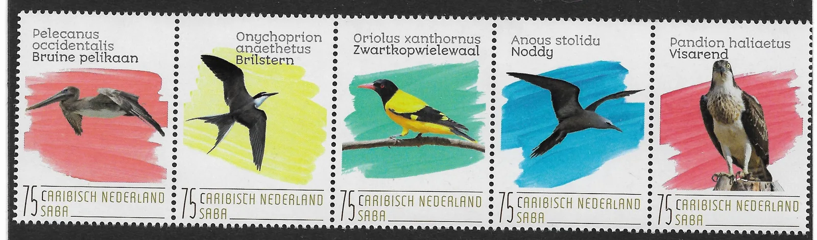 Caribisch Nederland Saba 2020 vogels- birds postfris