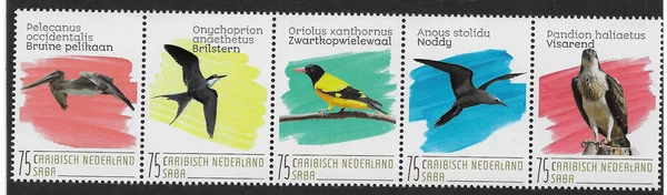 Caribbean Netherlands Saba 2020 birds MNH
