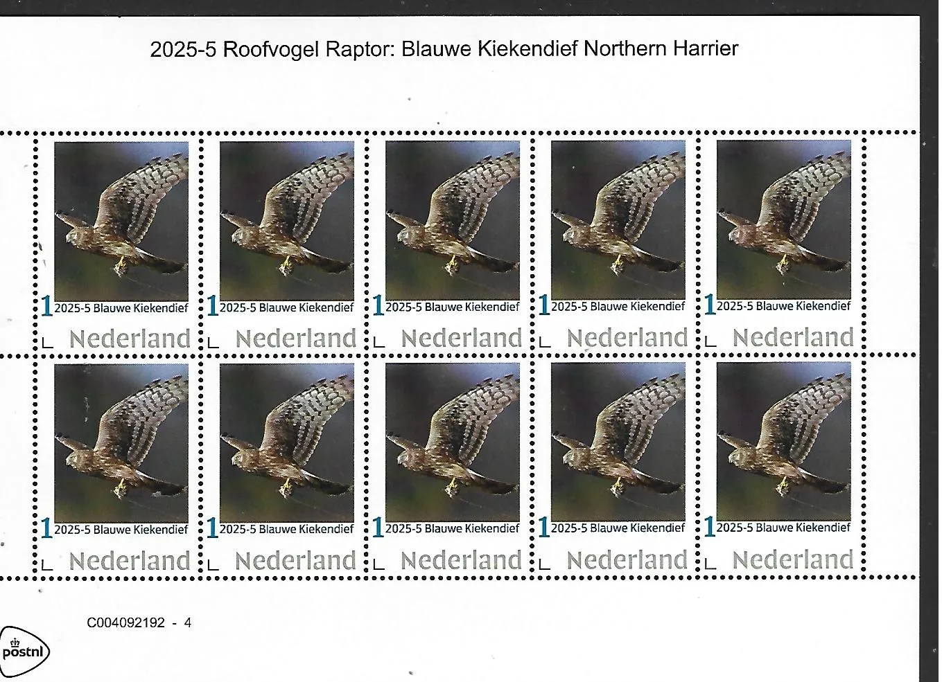 Netherlands 2025-5 Roofvogel Raptor: Blauwe Kiekendief Northern Harrier sheet MNH