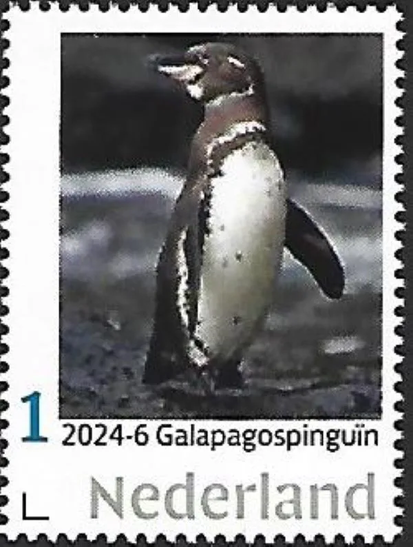 Pays-Bas 2024-6 Manchot Pingouin : Manchot des Galápagos neuf/nmh